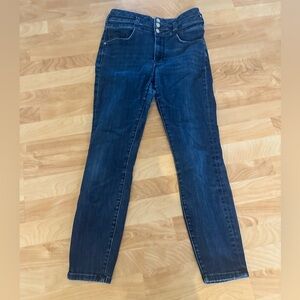 Anthropologie Dark Blue Skinny Jeans